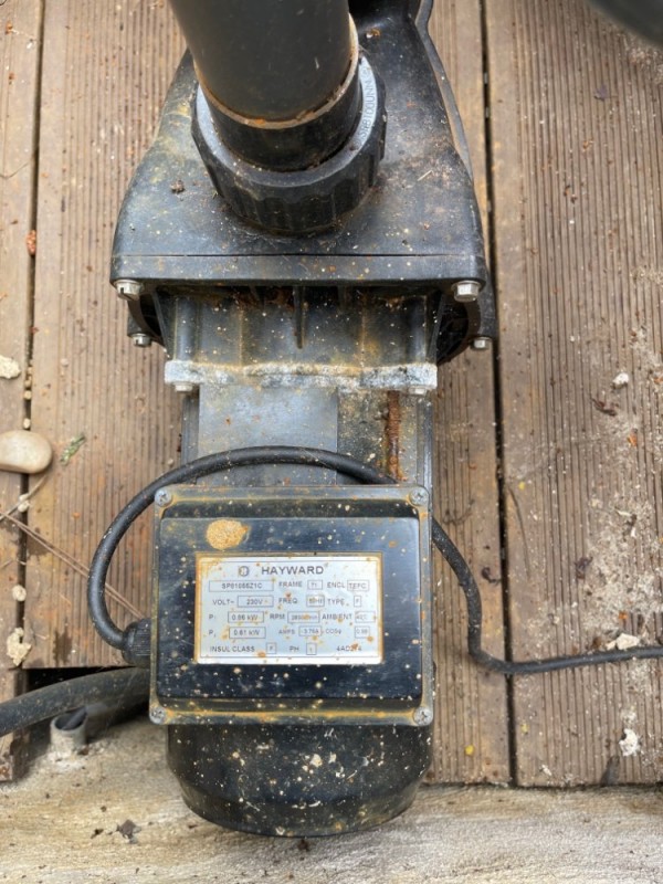 Motor