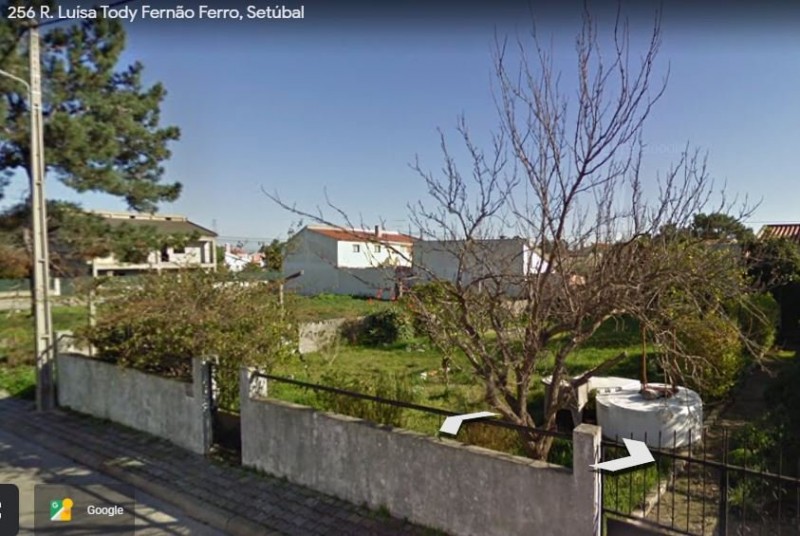 Alzira4.JPG