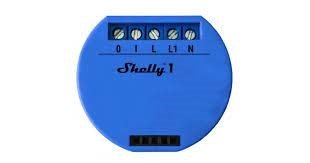Shelly 1.jpg