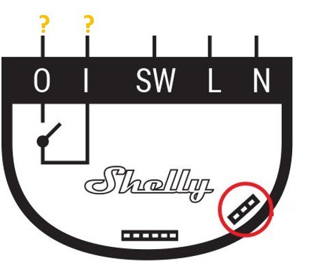 Shelly 1 i_o.jpg