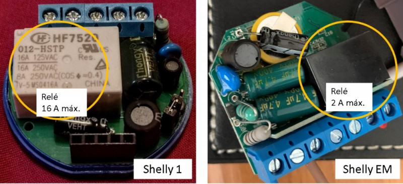 Shelly_inside.jpg