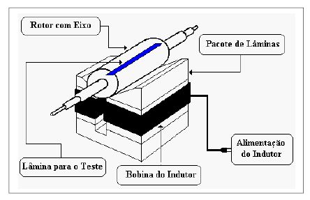 tatu.JPG