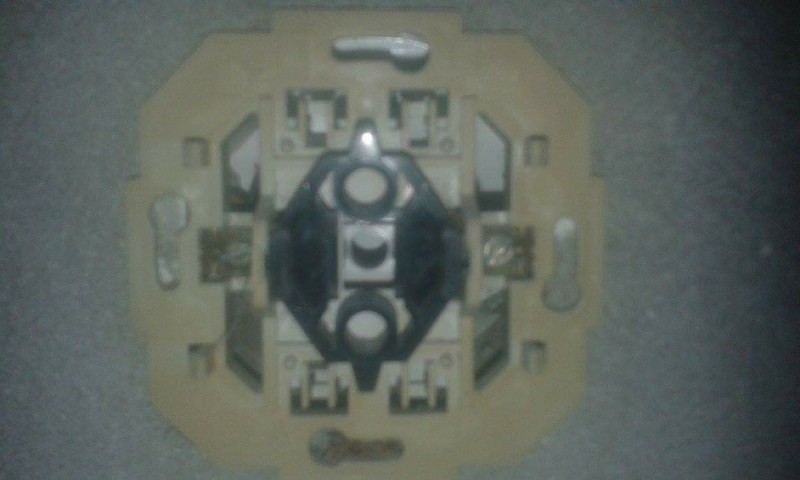 received_979920435390955.jpeg