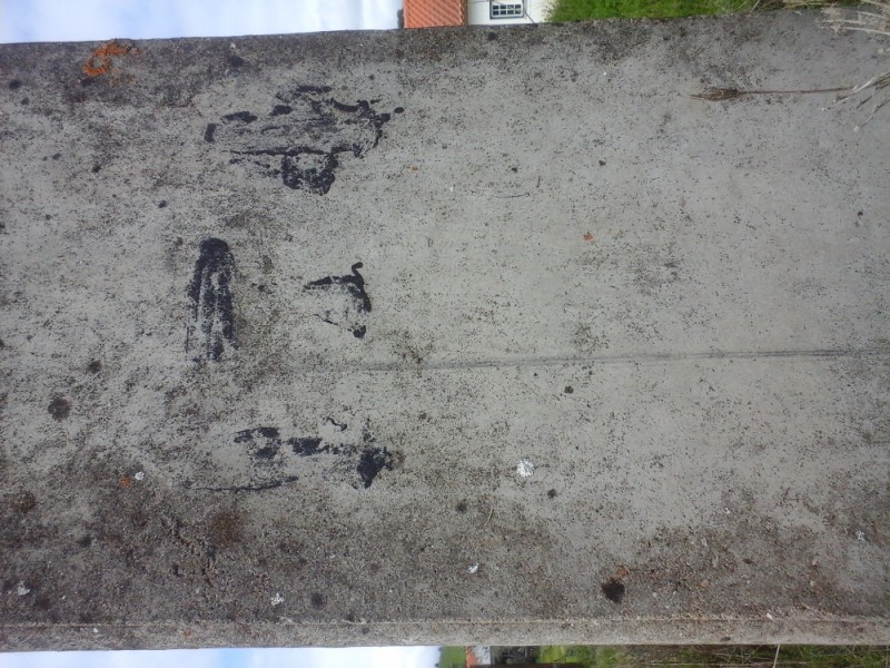 20160326_122146.jpg