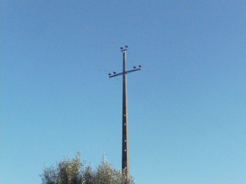 P1220181.JPG