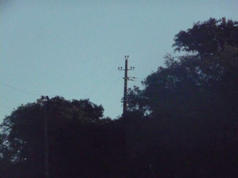 P1220183.JPG