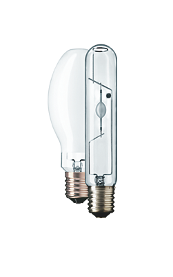comf2365308-clp-global-001.png