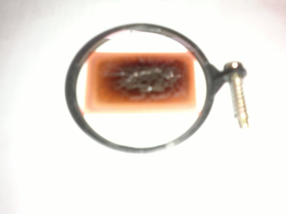 Bad lens.jpg